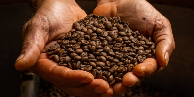 Café tenta estabilizar após forte queda da semana, mas oferta brasileira mantém pressão sobre NY