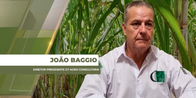 Preço da ATR da cana-de-açúcar em SP está abaixo de R$1 e coloca produtores em atenção