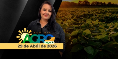 Petróleo tem novas altas e puxa agrícolas, BR paga R$ 570 mi a mais de diesel e polarização política no BR segue forte