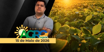 Commodities agrícolas estendem perdas nesta manhã e mercado repercute encontro entre Trump e Xi