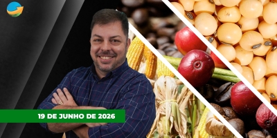 Com feriado nos EUA mercado de grãos tem dia de baixa liquidez; café segue focado na evolução da colheita brasileira