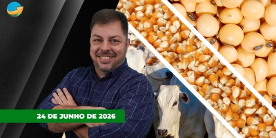 Baixa liquidez no mercado do boi e pressão sobre arroba; soja perde fôlego e encerra no vermelho