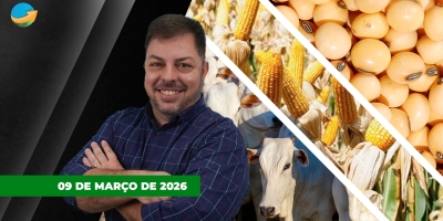 O dia foi de reversão de alta para baixa para soja e milho em Chicago; boi inicia semana com pressão sobre arroba