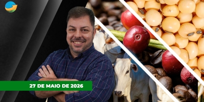 Arroba do boi sobe em SP, aumenta disputa entre compradores e vendedores no café e soja espera por novas notícias