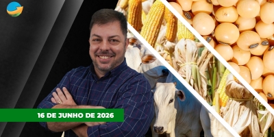 Oferta de animais vai ditar ritmo de alta da arroba no final do ano; soja sobe forte com especulações sobre compras chinesas nos EUA