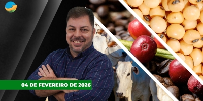 Boi forte com alta em todo o Brasil, soja forte retomando os US$11/bushel, café fraco com previsão de maior oferta no Brasil