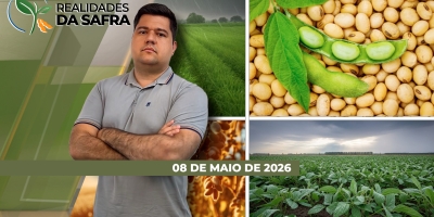 Clima dos próximos meses deve definir produção de milho em Londrina/PR e da soja no Amapá