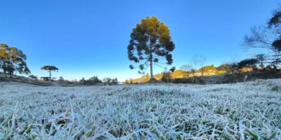 Temporais dão lugar à geada no Sul e produtores entram em alerta para frio intenso nos próximos dias