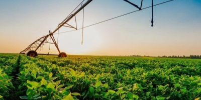 Plano Safra 2026 Coloca em Debate o Futuro do Crescimento do Agronegócio Brasileiro
