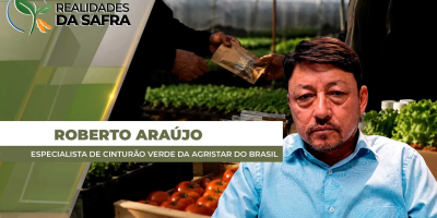 Pirataria de mudas e sementes cresce e levanta preocupações para o setor de hortifruti