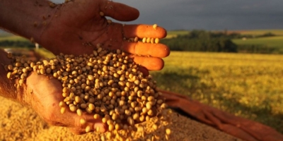 Plano Safra ignora realidade do campo e amplia preocupação com o futuro da produção