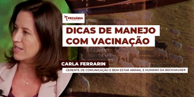 Dicas que podem facilitar o manejo dos animais no dia a dia e auxiliar nos resultados da vacinação