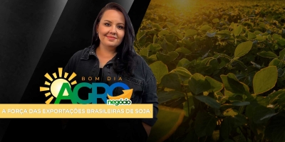 Bom Dia Agro