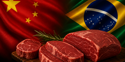 Radar China: Relação comercial com Pequim fortalece exportações, mas acende sinal amarelo