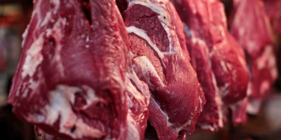 Exportações de carne bovina batem recorde no primeiro semestre, mas barreiras comerciais desafiam desempenho da segunda metade do ano