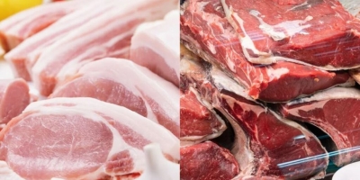 Produção brasileira de carnes deve alcançar 33,38 milhões de toneladas em 2026