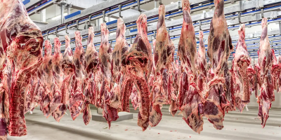 Brasil e Austrália pressionam China para permitir maior embarque de carne bovina, dizem fontes