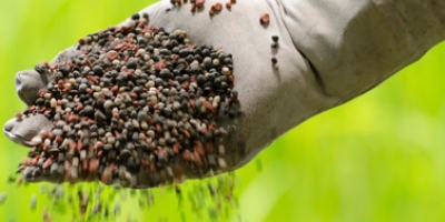 Importações de fertilizantes batem recorde em 2025 com avanço de produtos de menor concentração