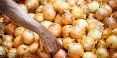 Cebola/Cepea: Disponibilidade é menor em SP, e cotações aumentam