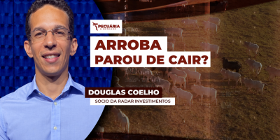 Pressão na arroba diminui em SP, mas ainda é cedo para falar em nova tendência para os preços