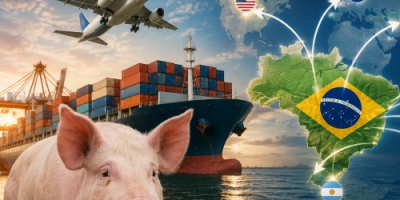 Exportações de carne suína crescem 8,3% em abril e reforçam alta em 2026