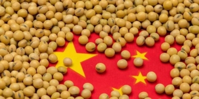 China prevê menores importações de soja em 2026/27; eleva estimativa para 2025/26