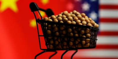 Bessent diz que soja dos EUA "já está resolvida", esfriando expectativas de novas compras da China