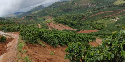 Inverno começa com novo desafio para o campo: a força do El Niño