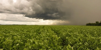 Como será setembro com o El Niño e a chegada da primavera?