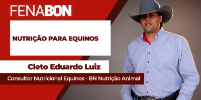 Nutrição para equinos requer atenção ao estágio de desenvolvimento e desempenho do animal