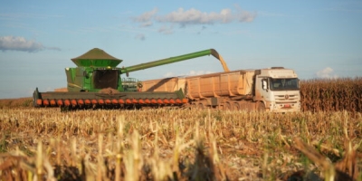 Colheita de milho do Brasil avança para 88,4% da área total, diz Pátria AgroNegócios