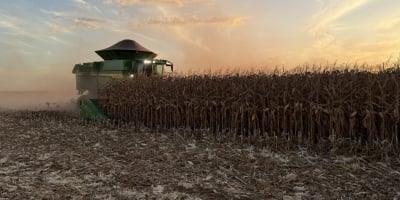Colheita do milho chega a 3% no Brasil e fica a frente do registrado em 2025