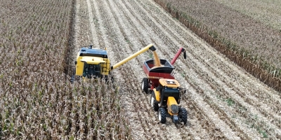 Agricultor paranaense triplica a produtividade do milho e estabelece recorde nacional