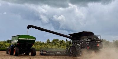 El Niño pode ampliar oferta de grãos no Brasil e desafiar rentabilidade no campo, aponta pesquisa da Allianz