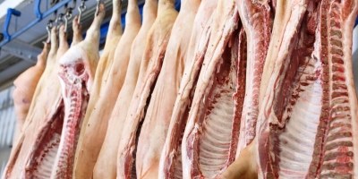 Queda nos abates em julho limita oferta e ajuda a sustentar preços do boi mesmo com desaceleração das exportações
