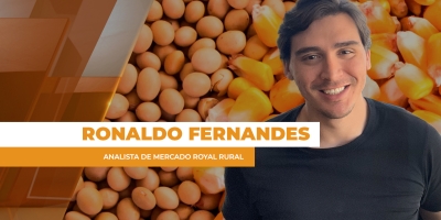 "Efeito Guerra": Preços da soja acumulam quase R$ 5 e milho mais de R$ 3 no BR; trigo dispara na CBOT