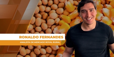 Semana foi de tradings da soja pagando acima da paridade de exportação, garantindo boas oportunidades ao produtor do Brasil