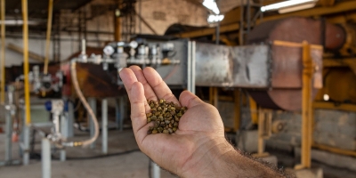 Projeto pioneiro usa gás natural na secagem de café e impulsiona inovação no Espírito Santo