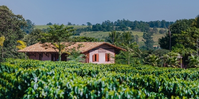 Projeto Corredores Arborizados amplia iniciativas em cafeicultura regenerativa da Expocacer