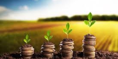 Crédito rural inteligente: as melhores condições para investir e crescer no agro