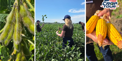 Safra de extremos nos EUA: Do alerta em Illinois ao alívio no Nebraska, veja o balanço da 1ª semana do Crop Tour