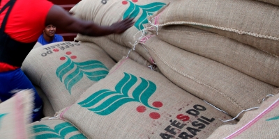 Mercado vê safra avançar e café afunda nas bolsas logo cedo; robusta perde força com pressão da colheita