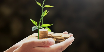 BNDES busca mobilizar até R$ 6 bi para mercado de crédito de carbono