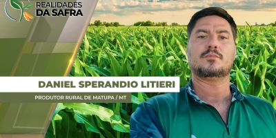 Colheita do milho começa com boa expectativa de produtividade em Matupa/MT