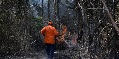 Defesa Civil alerta para risco de incêndios na região de Campinas
