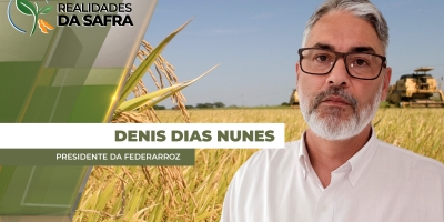 Dada como encerrada, safra de arroz no RS consolida perdas em relação ao ciclo anterior