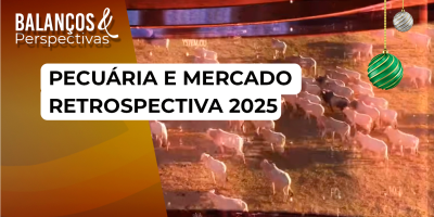 PECUÁRIA E MERCADO - RETROSPECTIVA 2025 - DIA 02