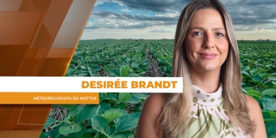 El Niño 2026: quais os riscos para o agro brasileiro?