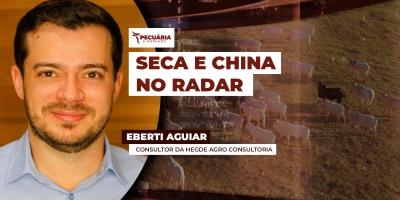 Boi Gordo: Consultor da Hegde Agro Consultoria avalia cenário de oferta elevada, mercado futuro e perspectivas para o segundo semestre