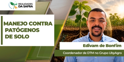 Manejo contra patógenos de solo precisa começar logo após a colheita do milho